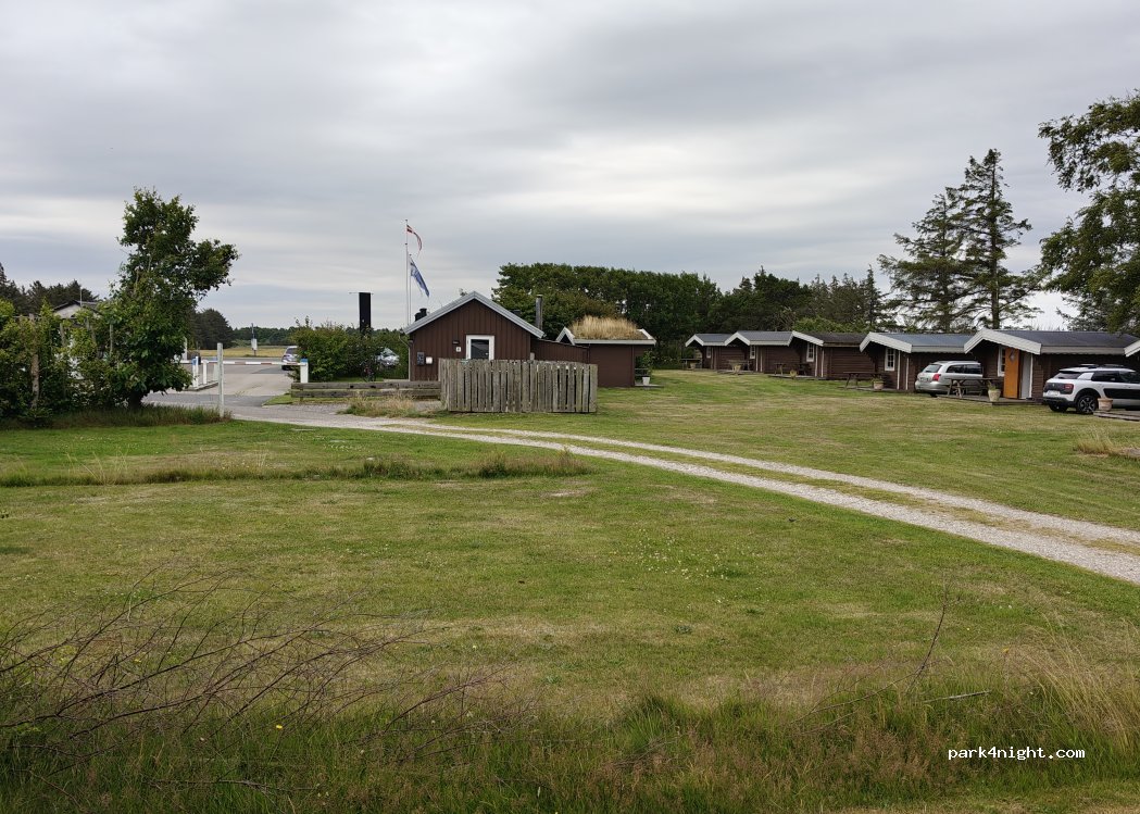 Blokhus Natur Camping — foto 5