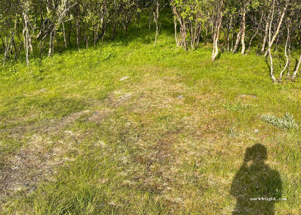(8484)  - Sekundær Fylkesveg 973 — foto 2