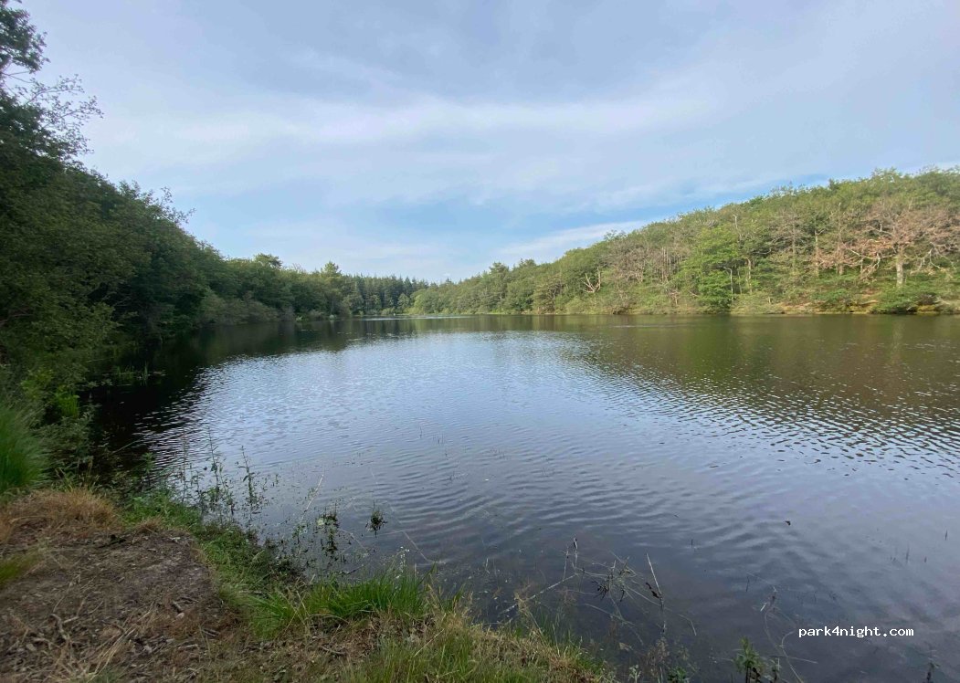 (44440) Joué-sur-Erdre - Vioreau — foto