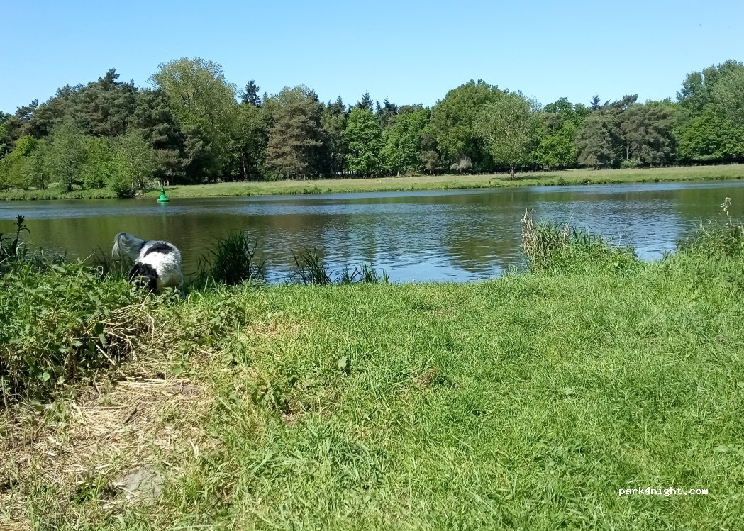 (49733) Haren - Unnamed Road — foto 3