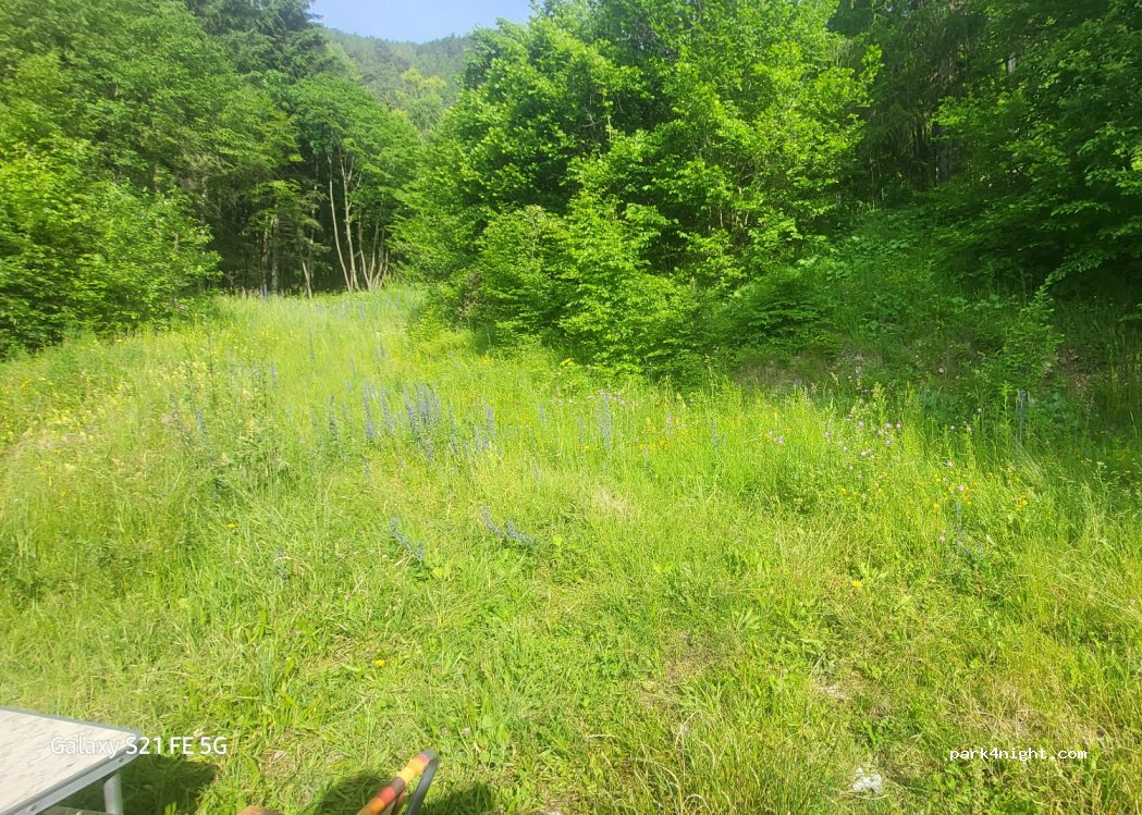 (37020) Ferrara di Monte Baldo - SP8 dir — foto 2