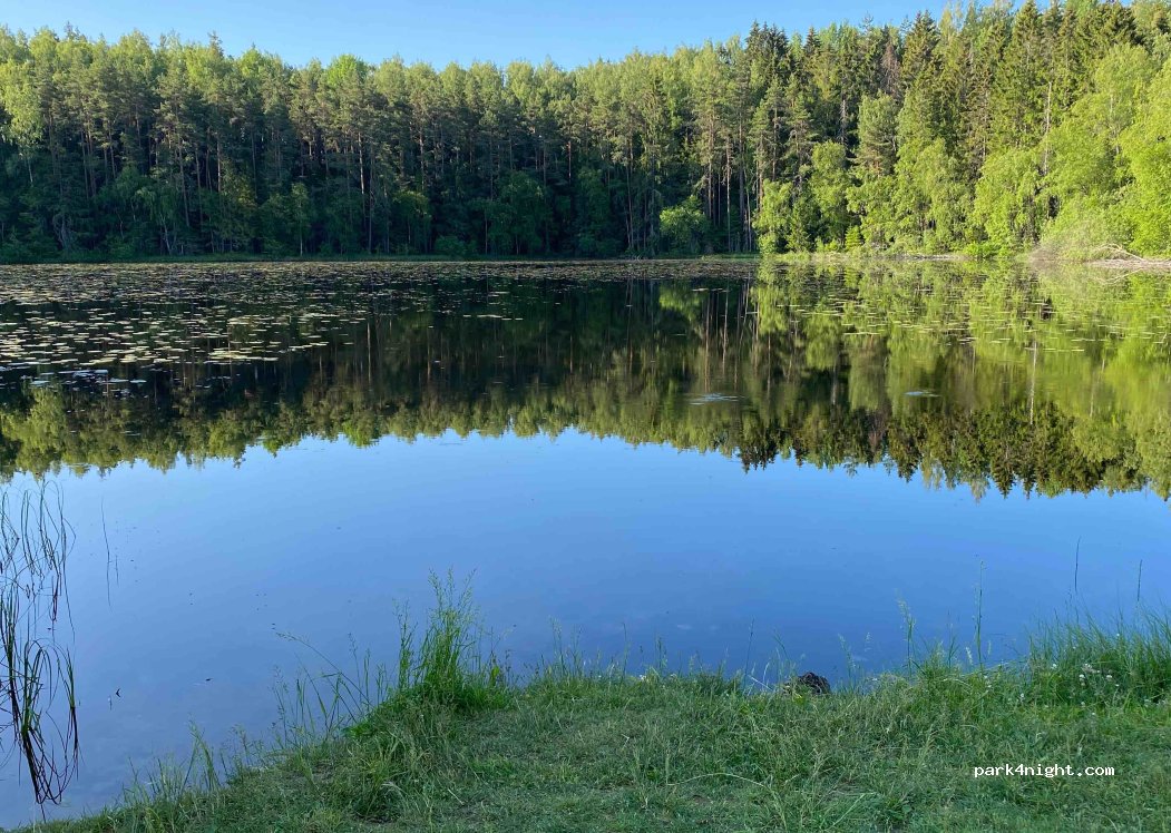 (75016) Rõõsa - Unnamed Road — foto 2