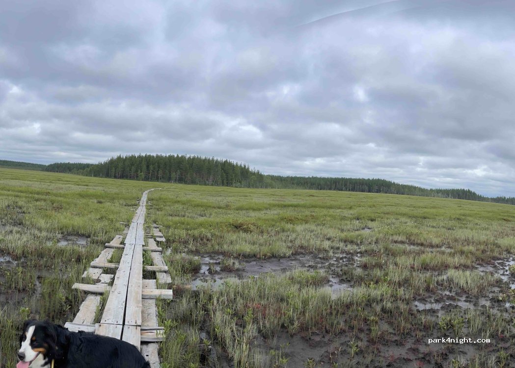 (95200) Simo - 31 Sompujärventie — foto 3