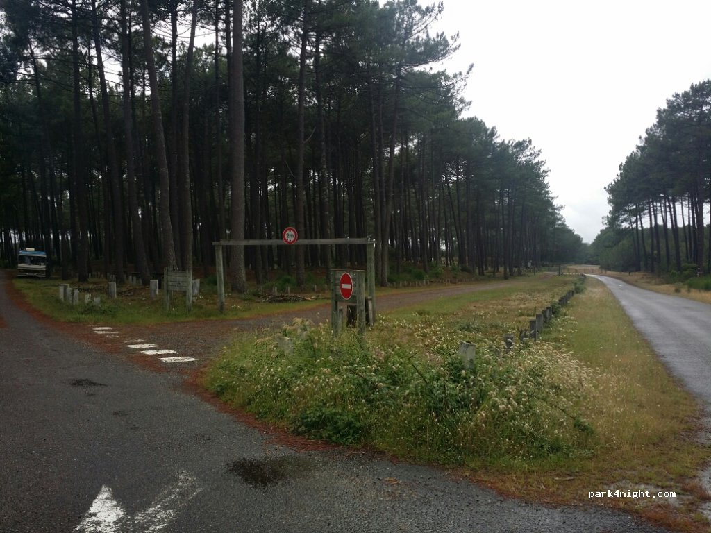 (40200) Mimizan - route de lespecier. — foto