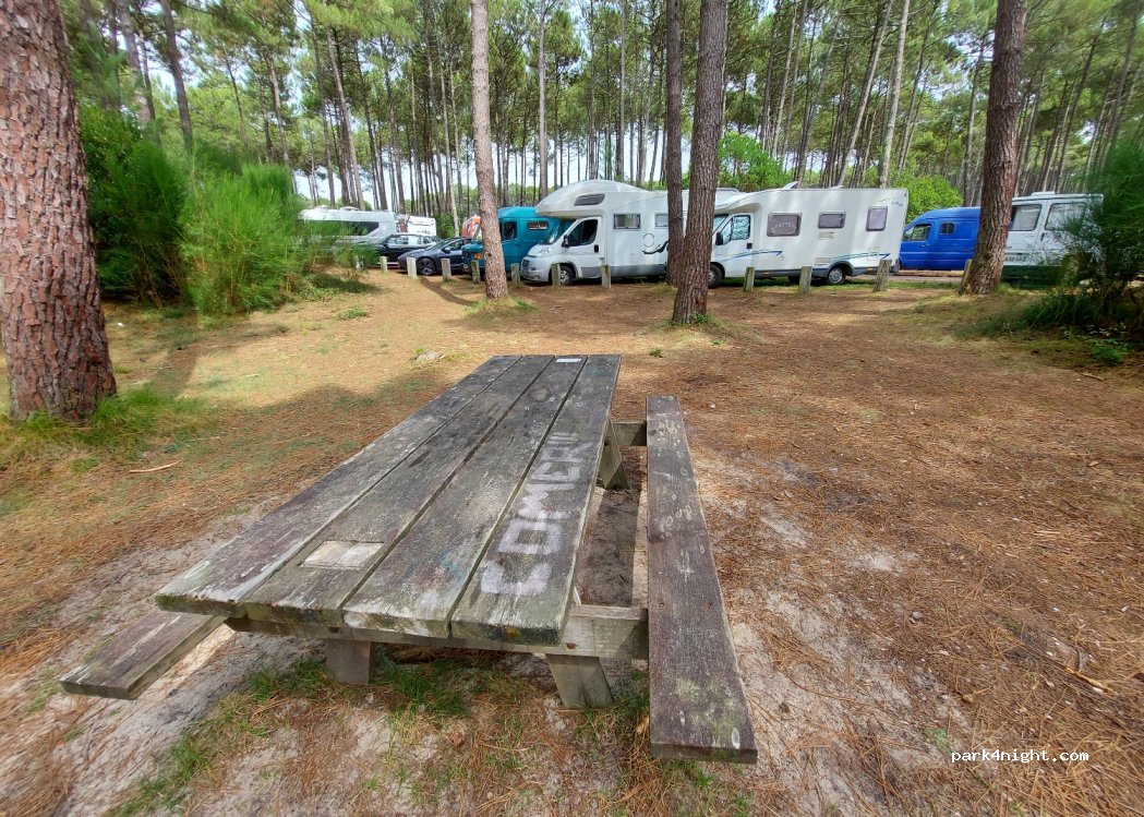 (40200) Mimizan - route de lespecier. — foto 4