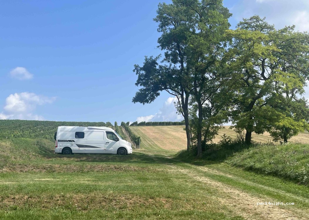 Biohof Maurer | Spritzer Rast — foto 4