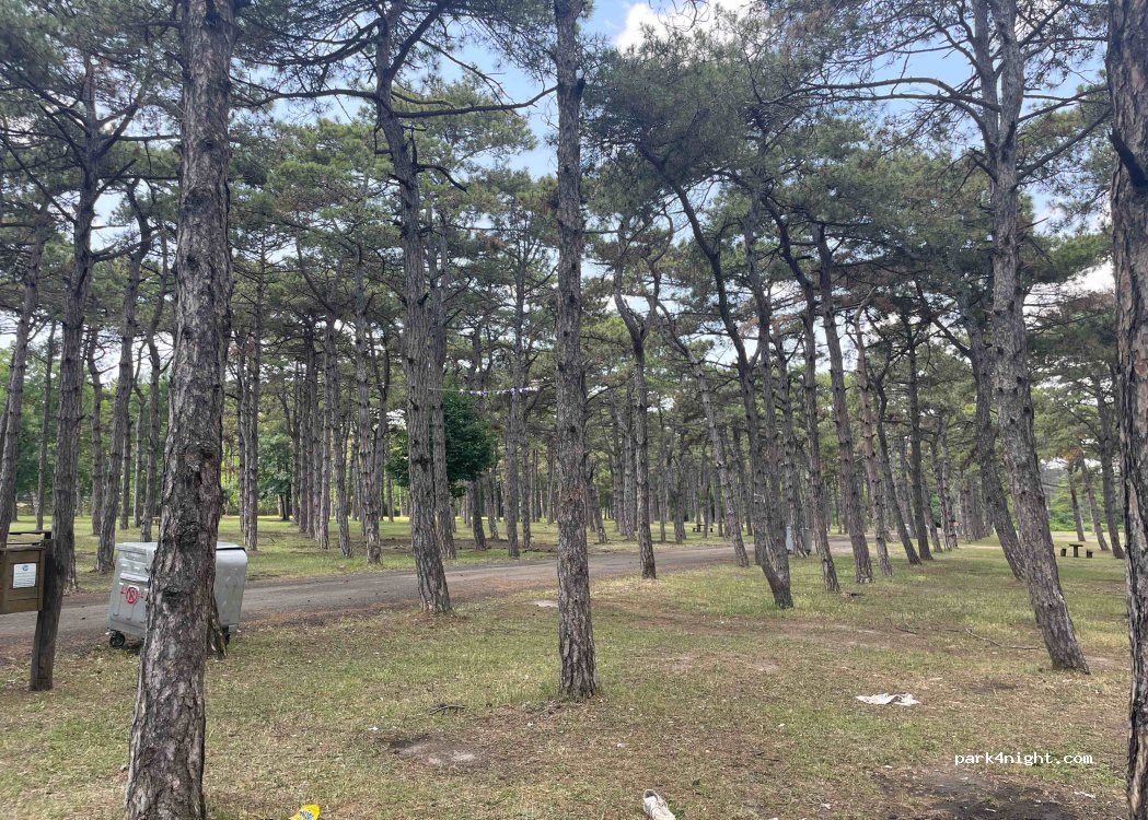 (59930) Ergene - 58 3. Sokak — foto