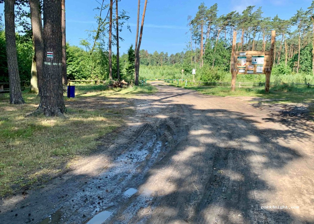 (95-010) Swędów - 2 Przylesie — foto