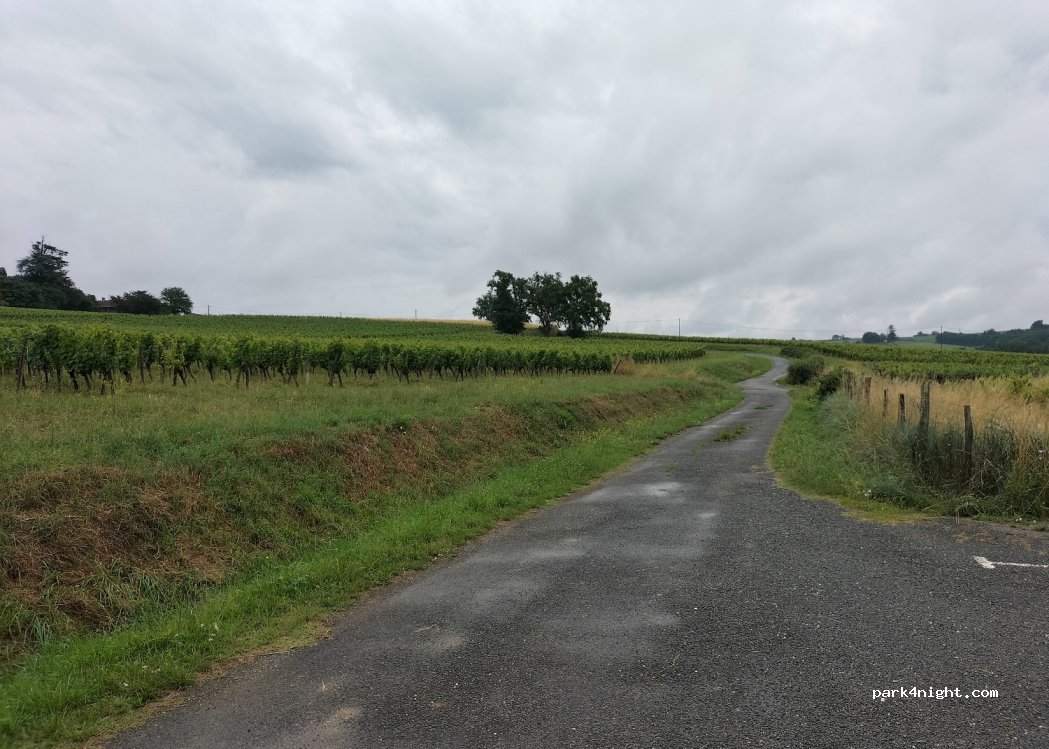 (33410) Loupiac - 11 Route de l'Église — foto 2