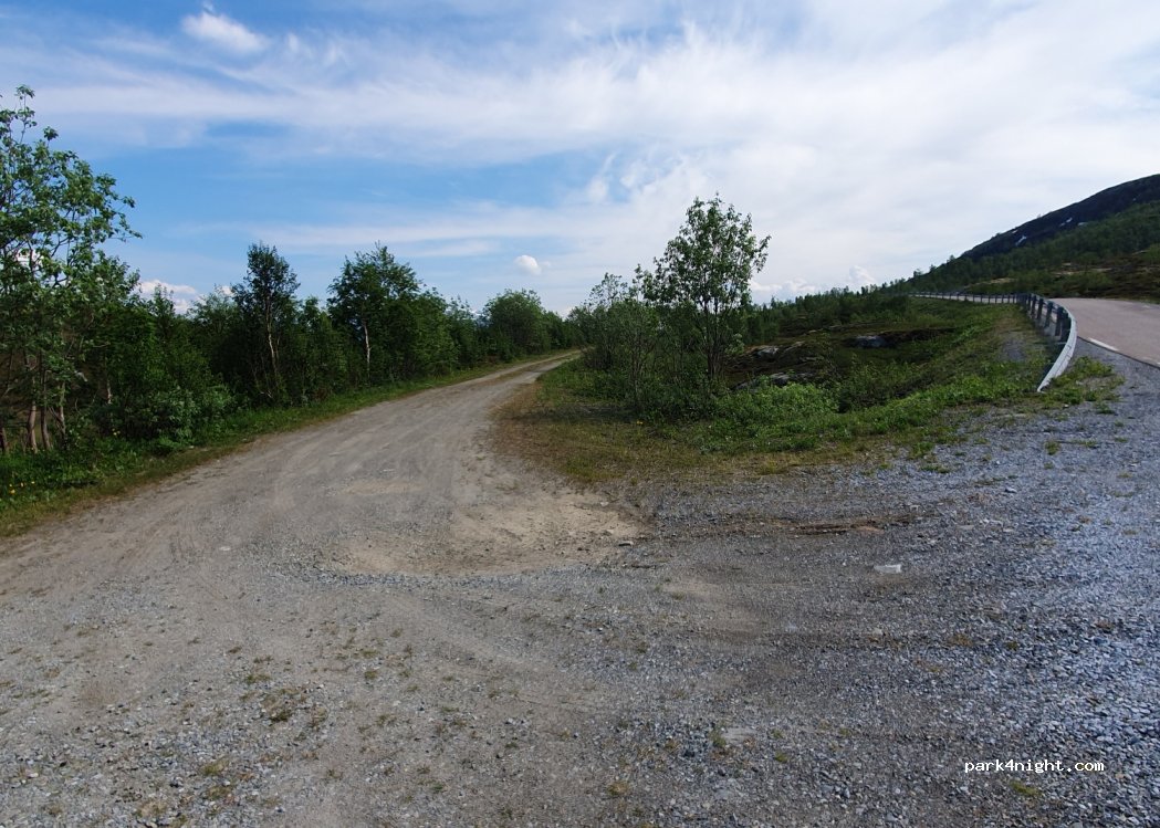 () Bleikvasslia - Fv291 — foto