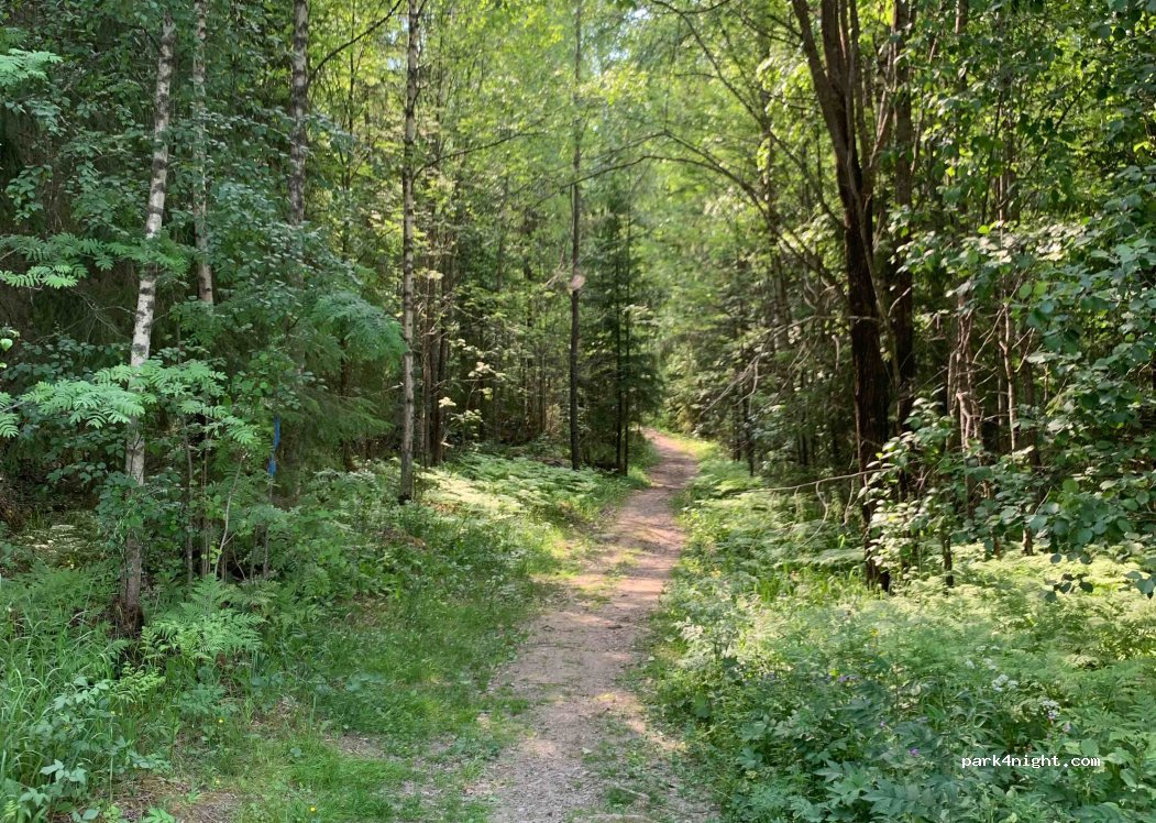 (33920) Pirkkala - 707 Keskisentie — foto 2