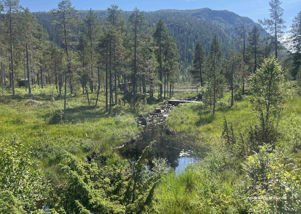 () Kjøra - Unnamed Road — foto 3