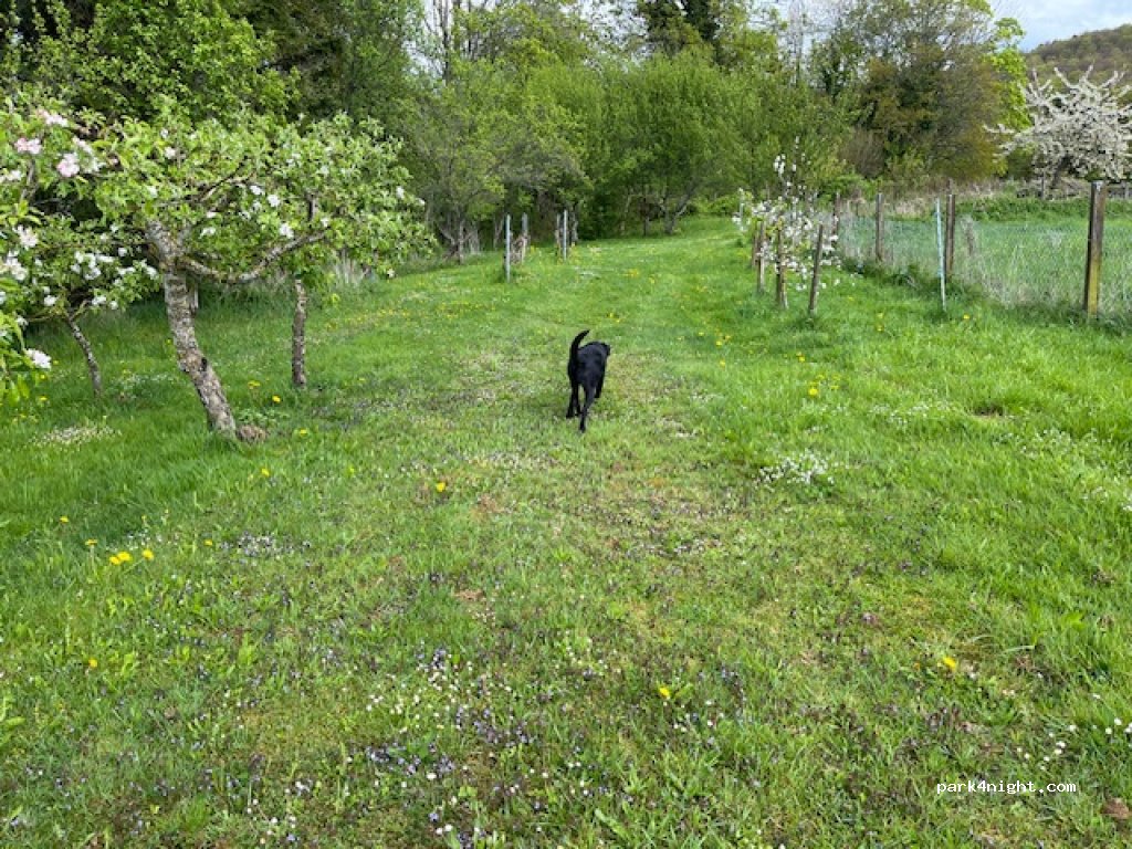 (2903) Villars sur Fontenais - 548 Les Boules — foto 5
