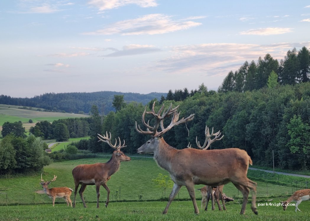 Wildhof Hildegrund — foto 3