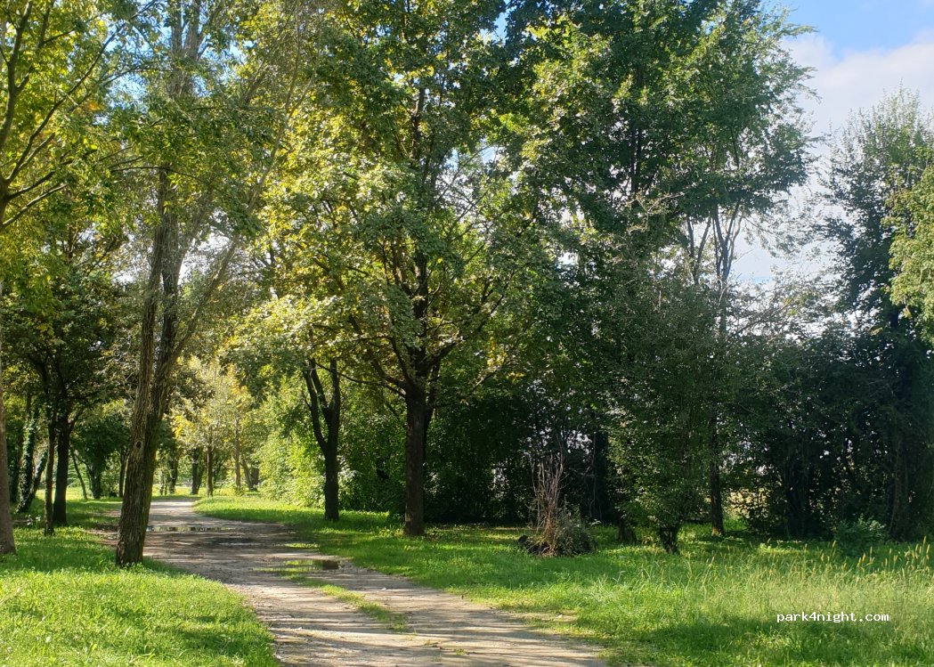 (33052) Cervignano del Friuli - Via Cormons — foto 4