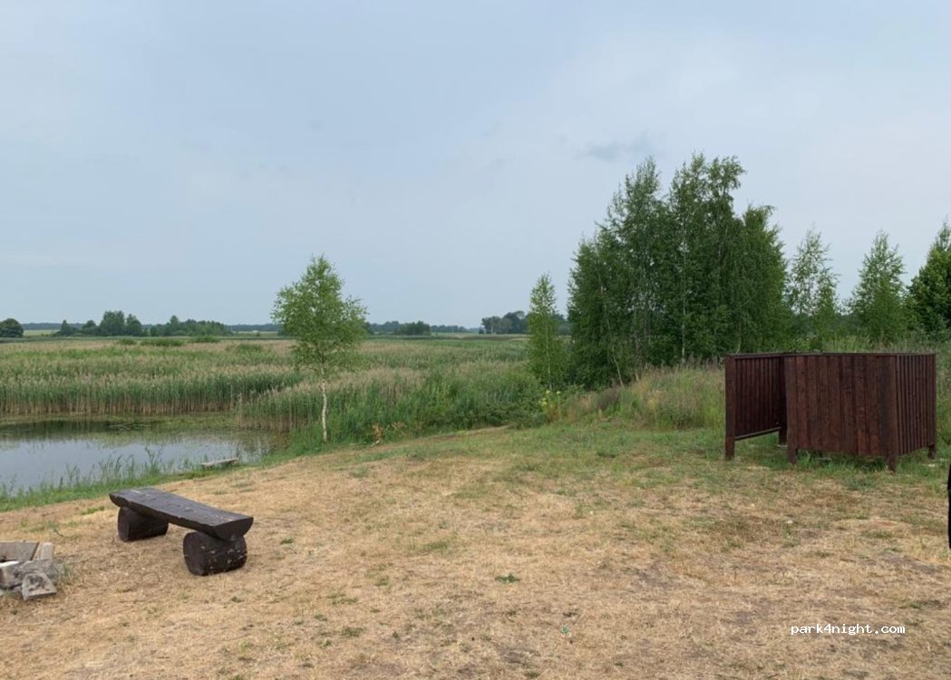 (41223) Garšviai - — foto 2