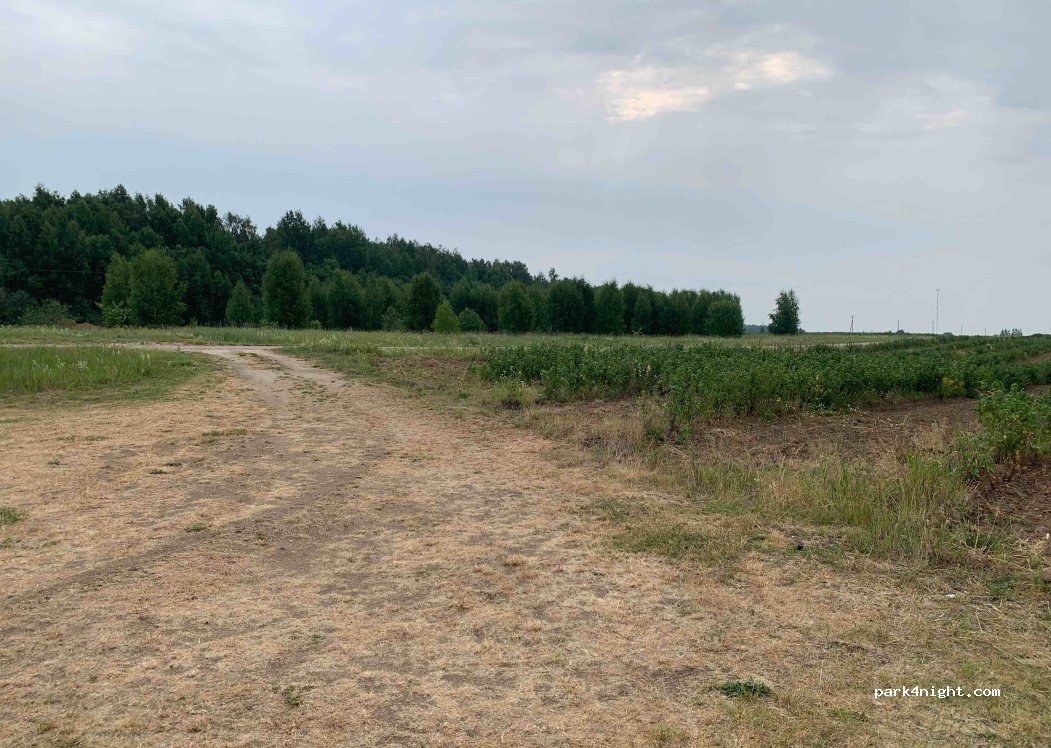(41223) Garšviai - — foto 3