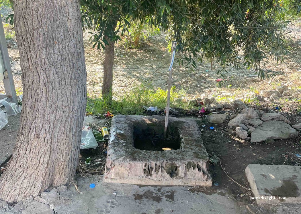 (35920) Selçuk - 24 Kazangöl Caddesi — foto