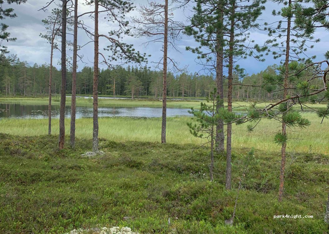 (790 90) Tjärnvallen - Unnamed Road — foto 2