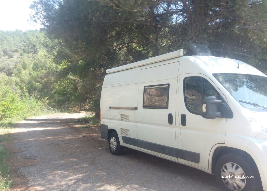 (50322) Aluenda - N-IIa — foto
