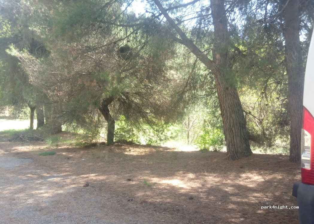 (50322) Aluenda - N-IIa — foto 2