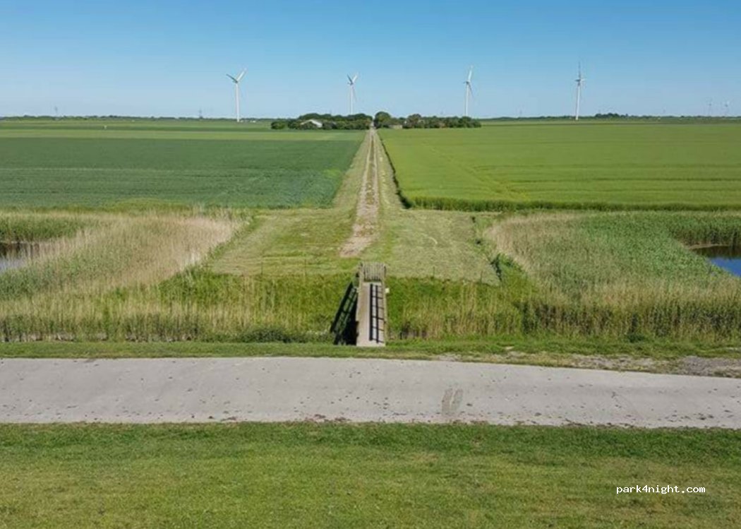 (25924) Friedrich-Wilhelm-Lübke-Koog - Rickelsbüller Weg — foto