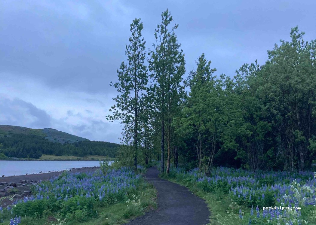 (221) Hafnarfjörður - Hvaleyrarvatnsvegur — foto 2