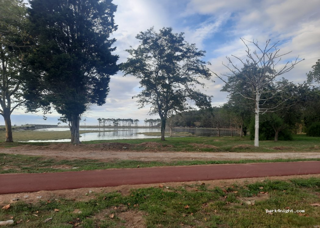 (33710) Navia - 61 Avenida del Pardo — foto 2