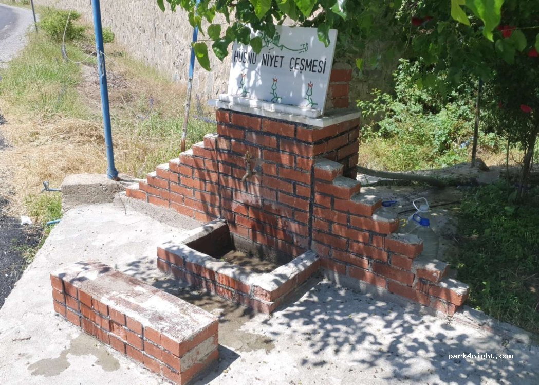 (29100) Gümüşkaya - Torul Şiran Yolu — foto