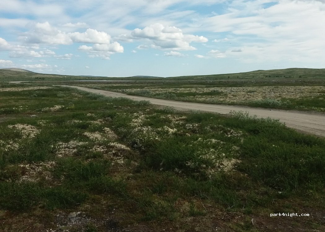 () Venabygd - Unnamed Road — foto