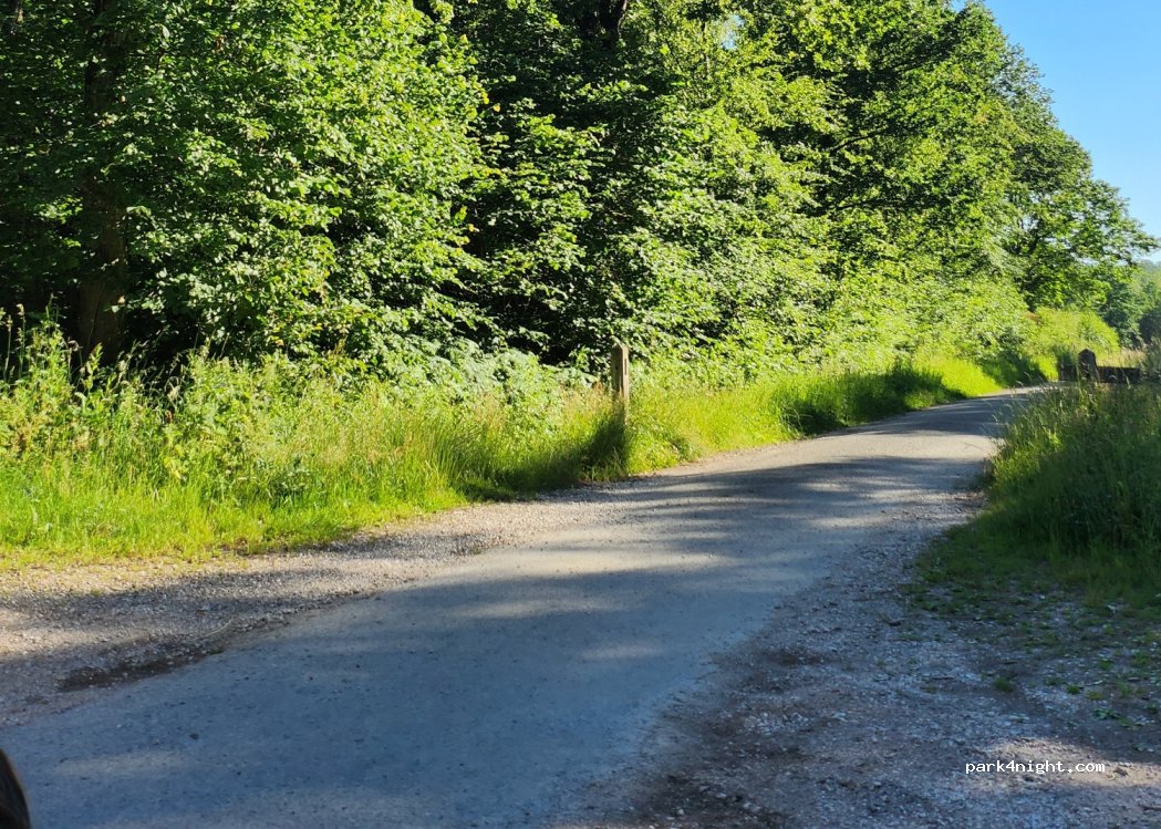 (62360) Condette - Rue de Montaigu — foto