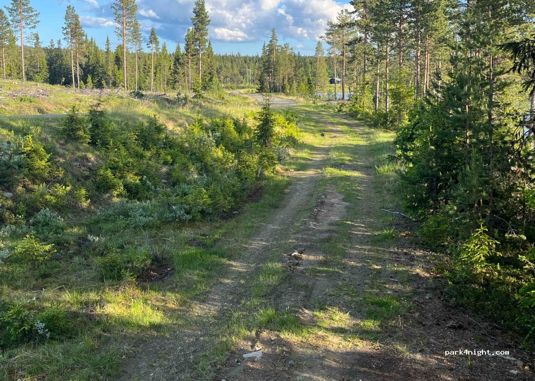 () Tisleidalen - Unnamed Road — foto