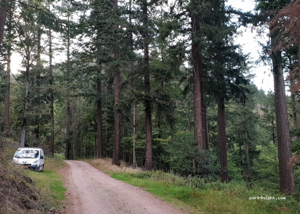 (68150) Ribeauvillé - Unnamed Road — foto 2