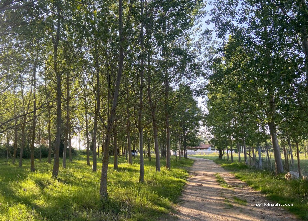 (09515) Medina de Pomar - 33A Barrio Villacomparada — foto