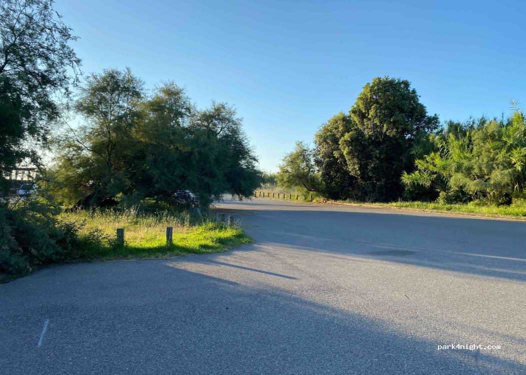 (20230) Taglio-Isolaccio - 55 D30 — foto