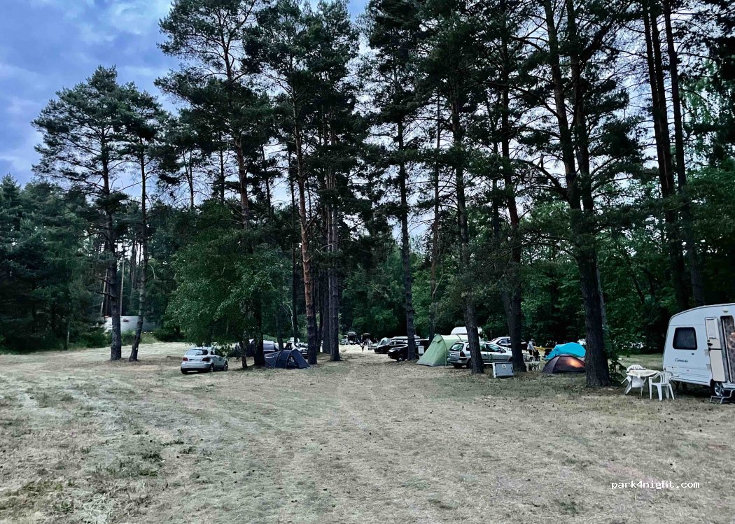 Pole namiotowe Drzewicz — foto