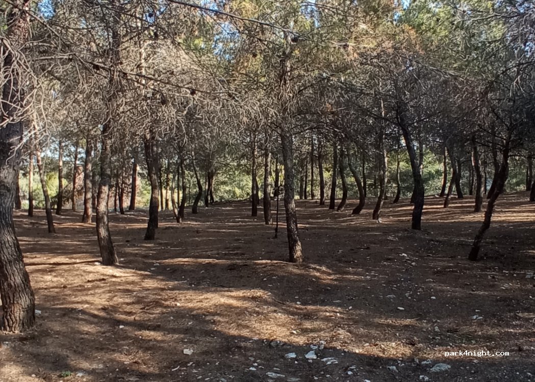 (45250) Añover de Tajo - 1 Poligono Rustica — foto 2