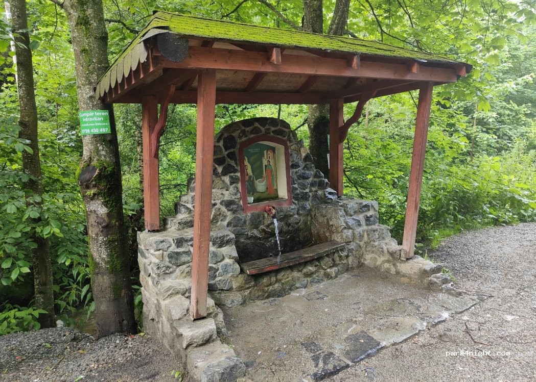 () Băișoara - DJ107R — foto