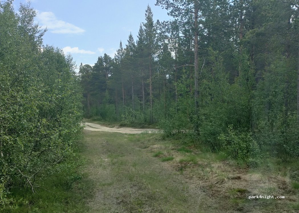 () Skuvvanvárri - Unnamed Road — foto
