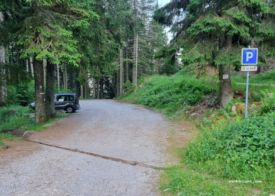 (68140) Soultzeren - Chemin Forestier Rappenkopf — foto