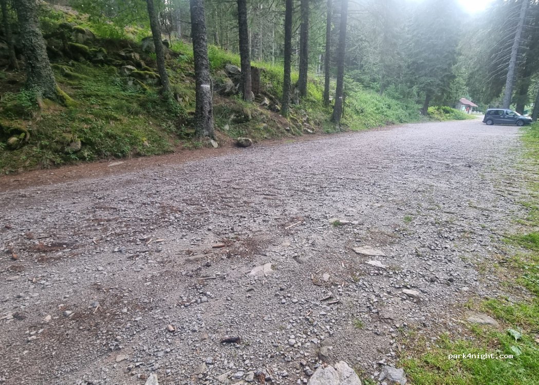 (68140) Soultzeren - Chemin Forestier Rappenkopf — foto 2