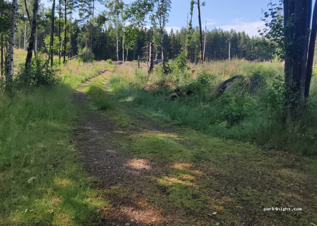 (591 96)  - Unnamed Road — foto
