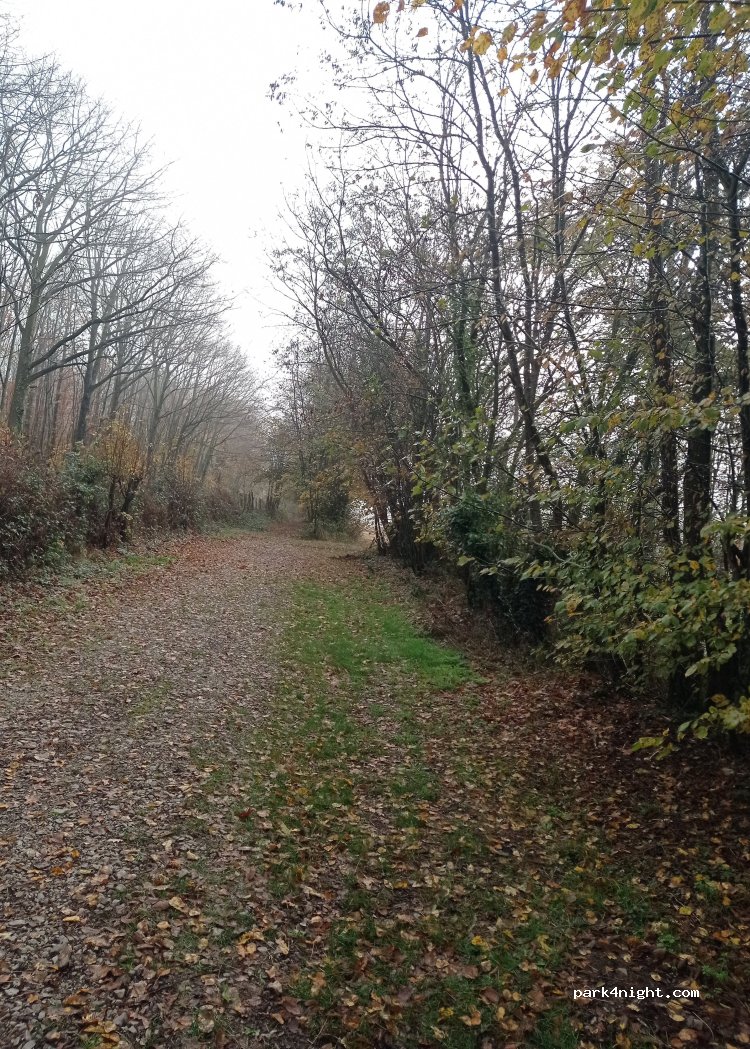 (14700) Aubigny - Unnamed Road — foto