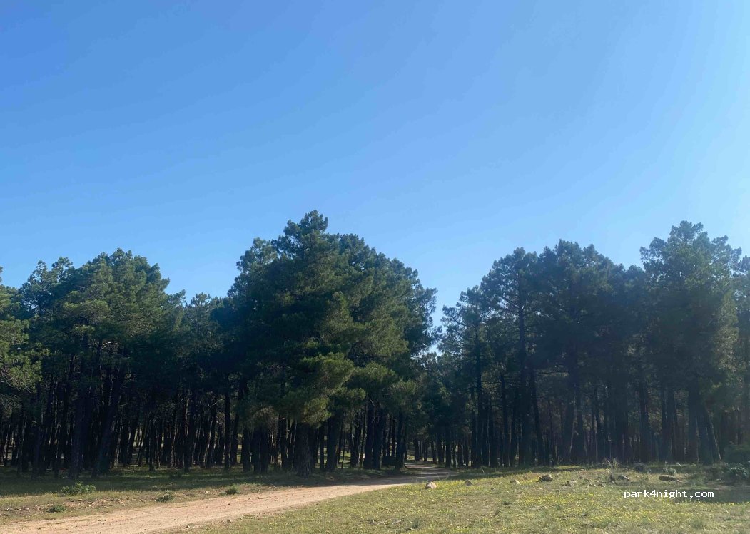 (05239) La Estación - Unnamed Road — foto