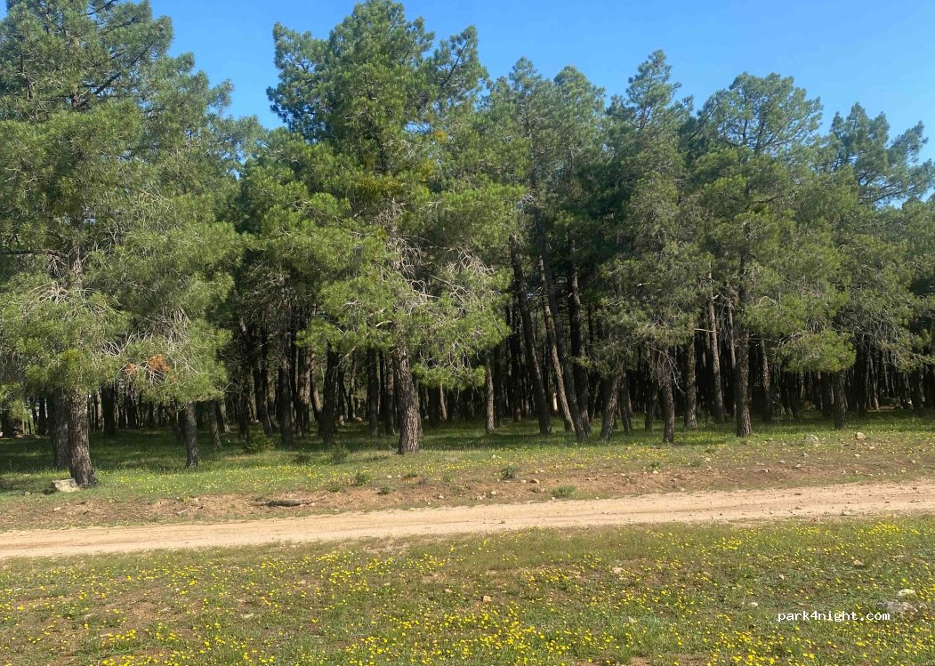 (05239) La Estación - Unnamed Road — foto 2