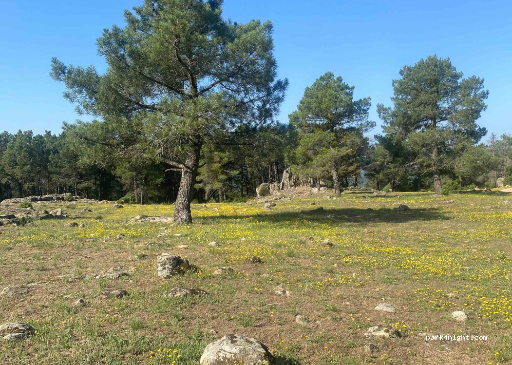 (05239) La Estación - Unnamed Road — foto 3