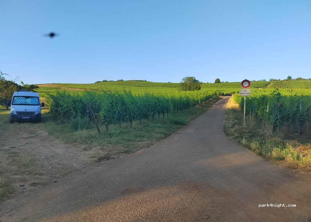 (68500) Orschwihr - Unnamed Road — foto 2