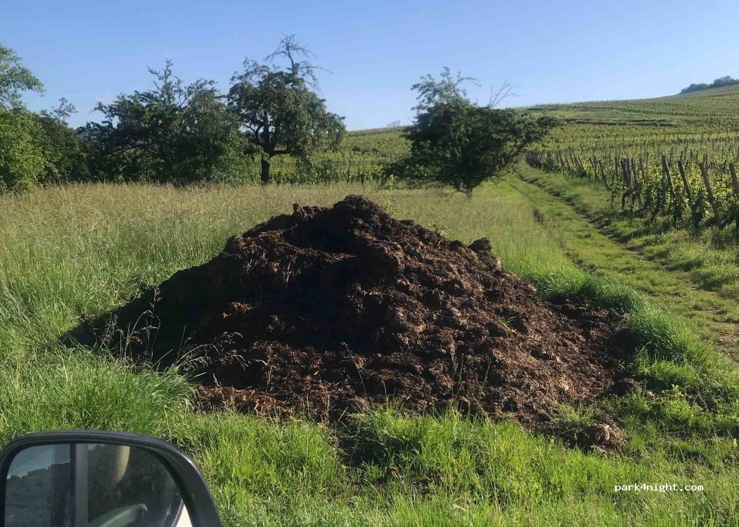 (68500) Orschwihr - Unnamed Road — foto 3