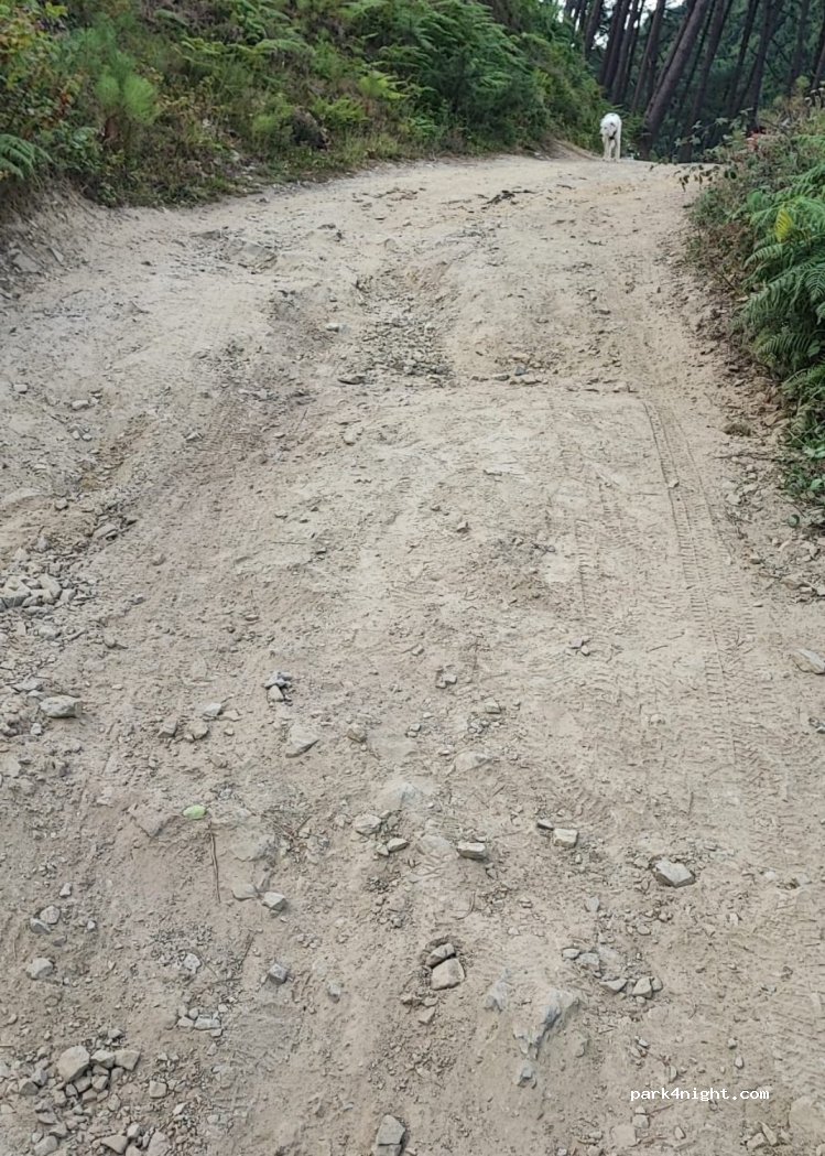 (33155) Salamir - Unnamed Road — foto 2