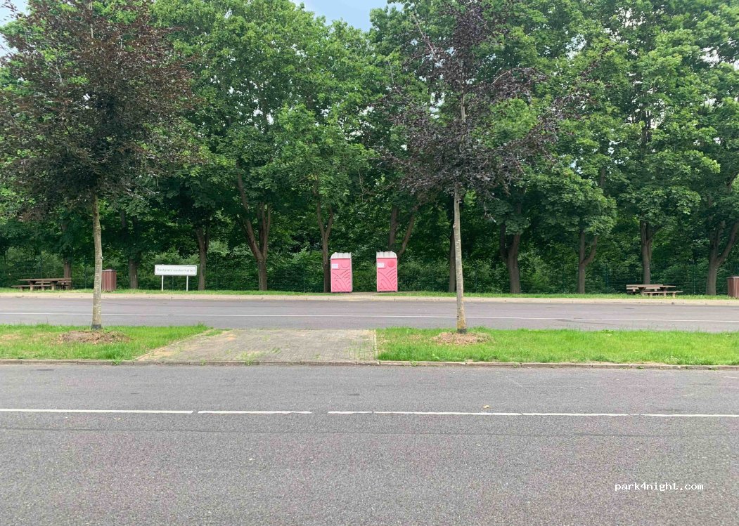 (17237) Blumenholz - E251 — foto